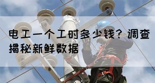 电工一个工时多少钱？调查揭秘新鲜数据(图1)