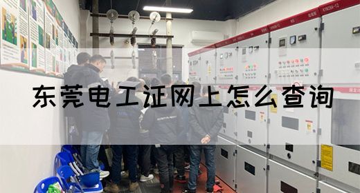 东莞电工证网上怎么查询(图1)