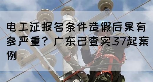 电工证报名条件造假后果有多严重？广东已查实37起案例(图1)
