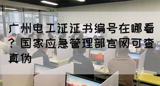 广州电工证证书编号在哪看？国家应急管理部官网可查真伪(图1)